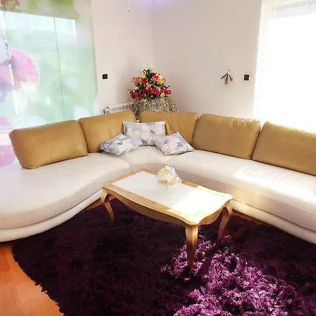 Apartment Domus